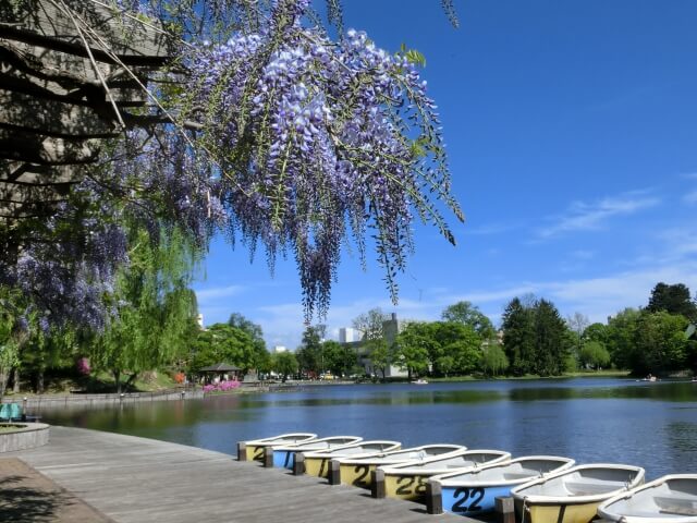 常磐公園の画像