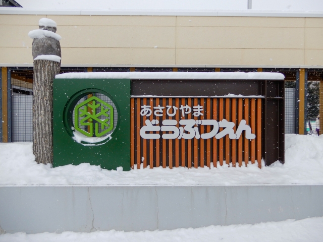 旭山動物園の特徴
