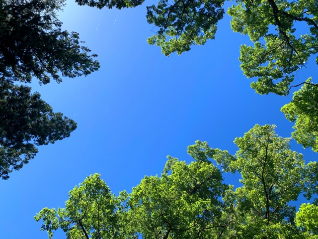 北広島レクリエーションの森の画像
