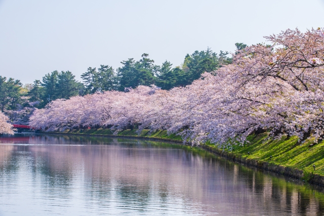【弘前公園周辺のおすすめ駐車場】混雑状況や公式情報と観光スポット