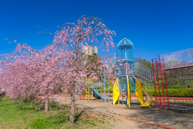 榴岡公園の画像