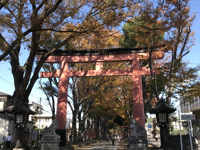 武蔵一宮氷川神社の画像