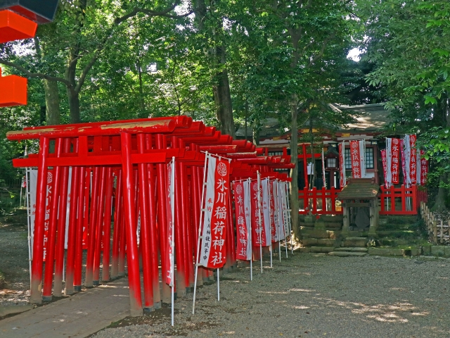 氷川神社の画像