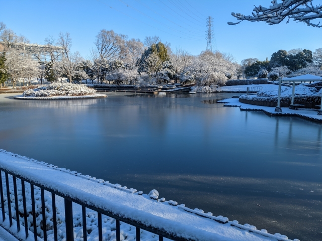 さぎ山記念公園の画像