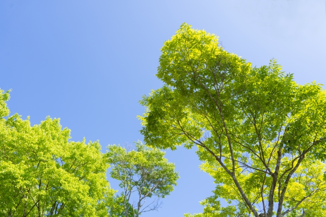戸塚中台公園の画像