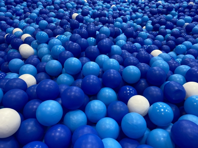 イイナパーク川口（赤山歴史自然公園）の画像