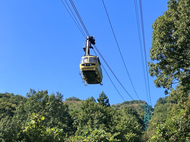 宝登山ロープウェイの画像