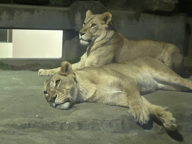 東武動物公園の特徴