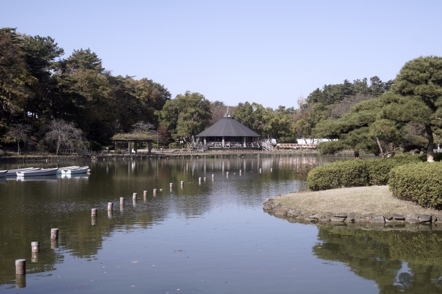 千葉公園の画像