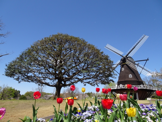 ふなばしアンデルセン公園の画像