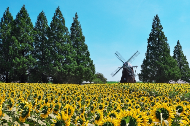 あけぼの山農業公園の画像