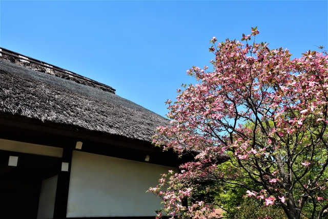 旧吉田家住宅歴史公園の画像