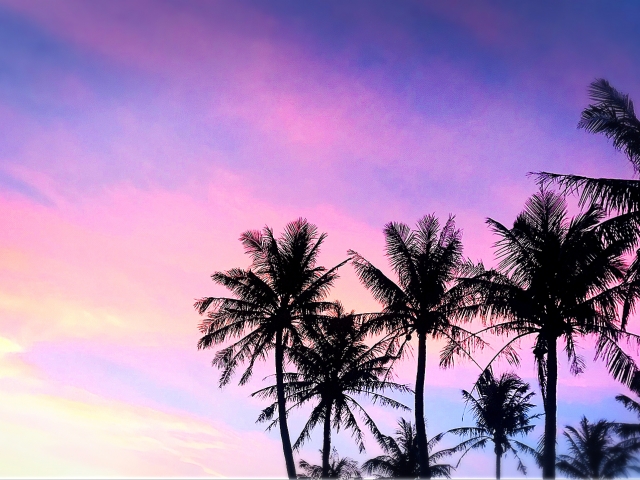 イクスピアリの画像