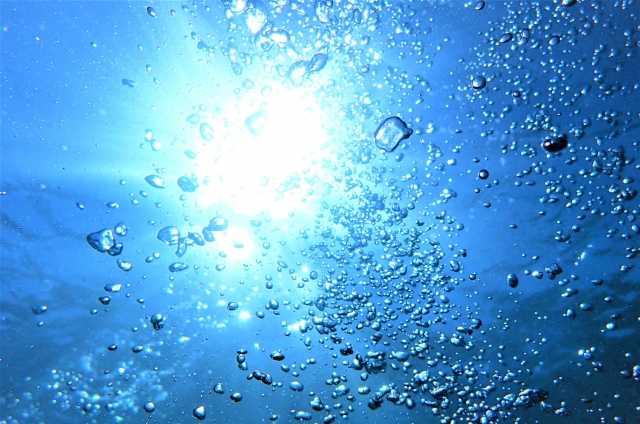 【東京ディズニーシー周辺駐車場】混雑状況や公式情報と観光スポット