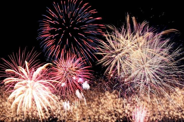 東京ディズニーシーの特徴