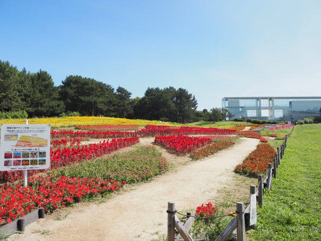 【葛西臨海公園周辺のおすすめ駐車場】混雑状況や公式情報と観光スポット