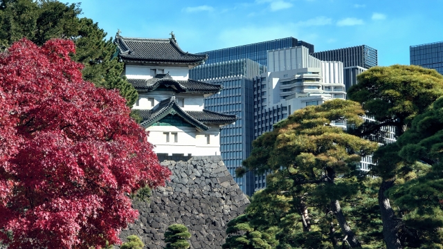 皇居東御苑の画像
