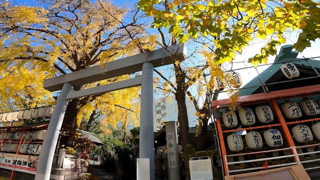 波除神社の画像