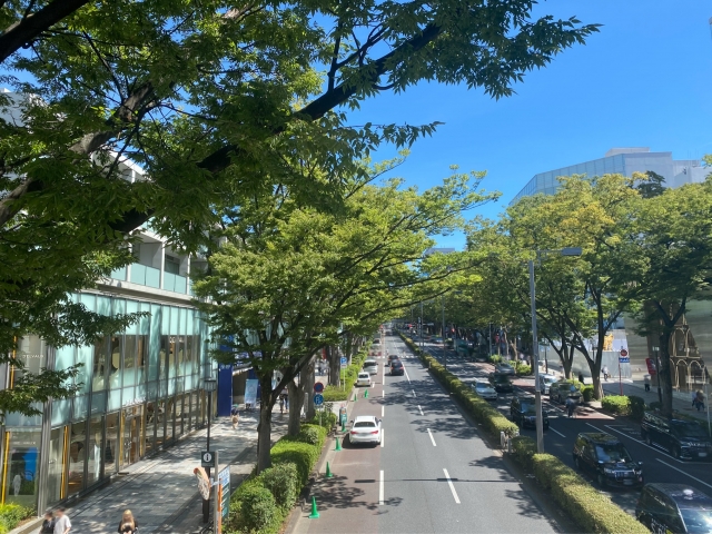 【表参道周辺のおすすめ駐車場】混雑状況や観光スポット情報