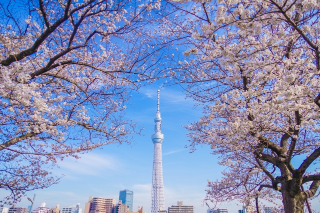 東京スカイツリーの特徴
