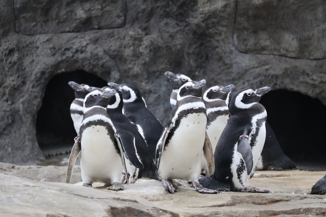 すみだ水族館の画像