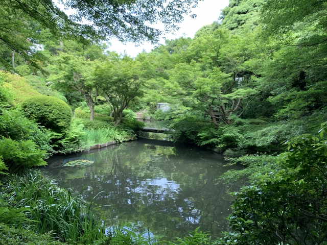 池田山公園の画像