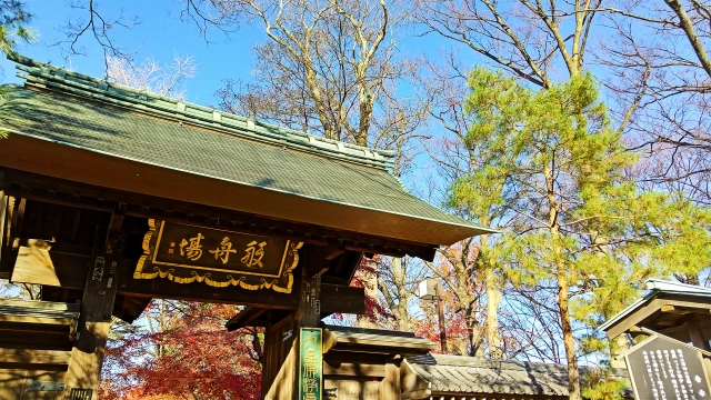 九品仏浄真寺の画像