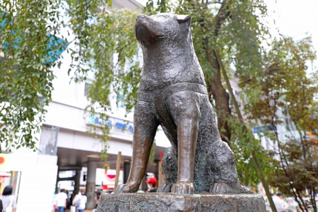 忠犬ハチ公像の画像