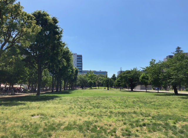 中野区立中野四季の森公園の画像