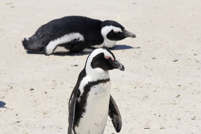 サンシャイン水族館の画像