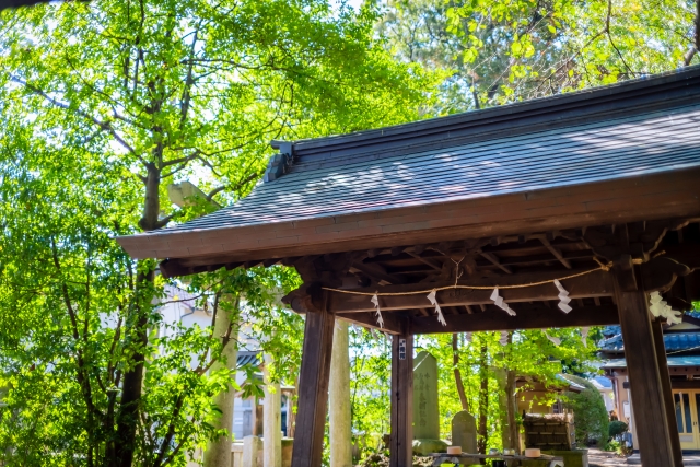 石神井氷川神社の画像