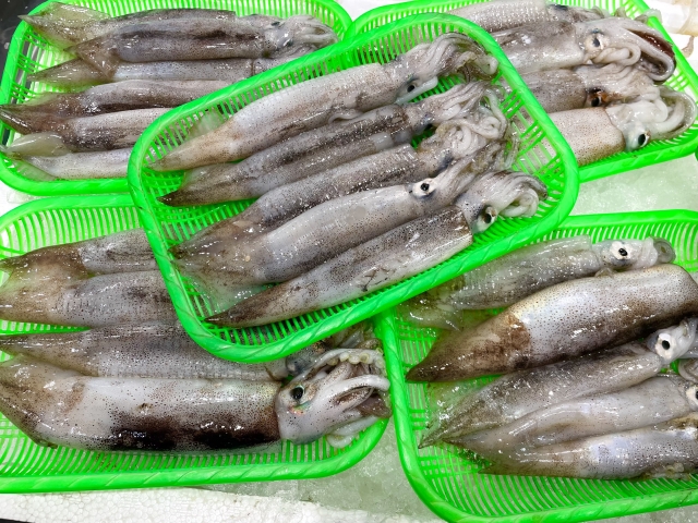 足立市場の画像