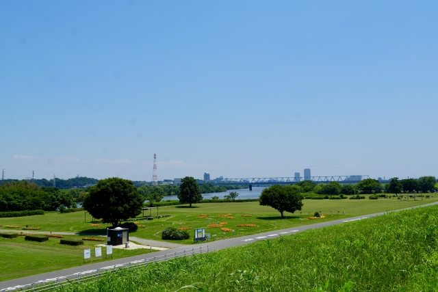 柴又公園の画像