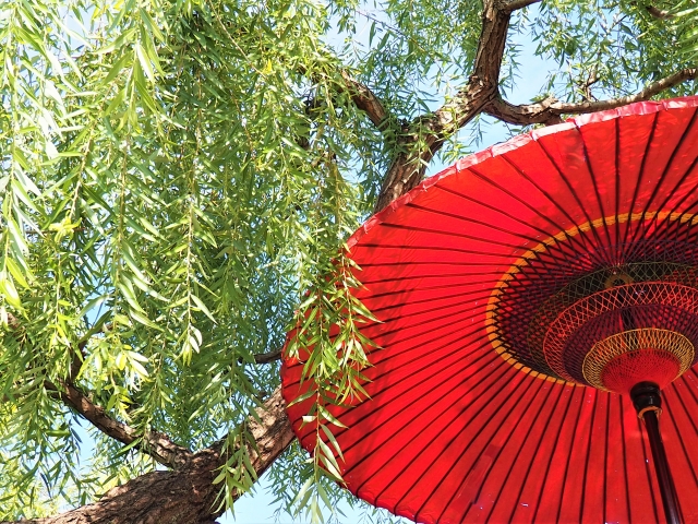 桑都テラスの画像