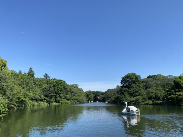 【井の頭恩賜公園周辺のおすすめ駐車場】混雑状況や公式情報と観光スポット