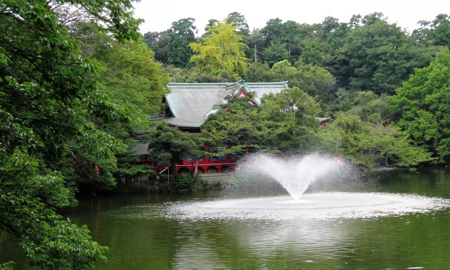 井の頭恩賜公園の特徴
