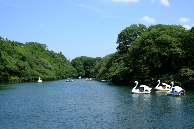 井の頭恩賜公園の画像