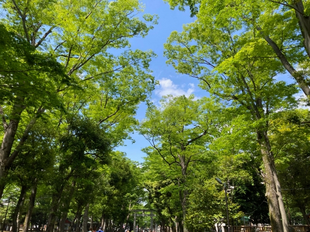 大國魂神社の画像