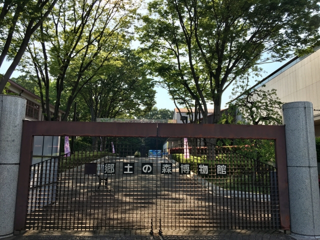 郷土の森博物館の画像