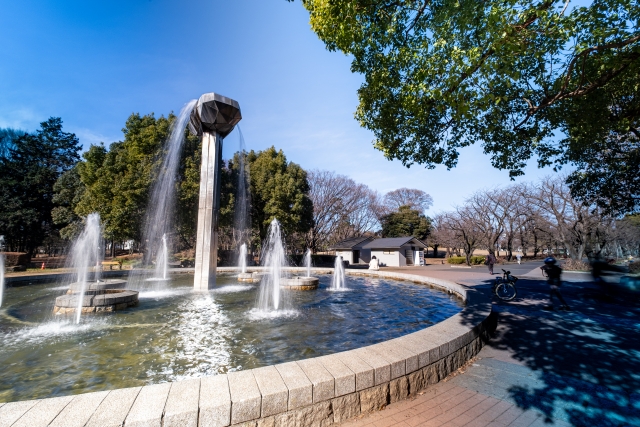 府中の森公園の画像