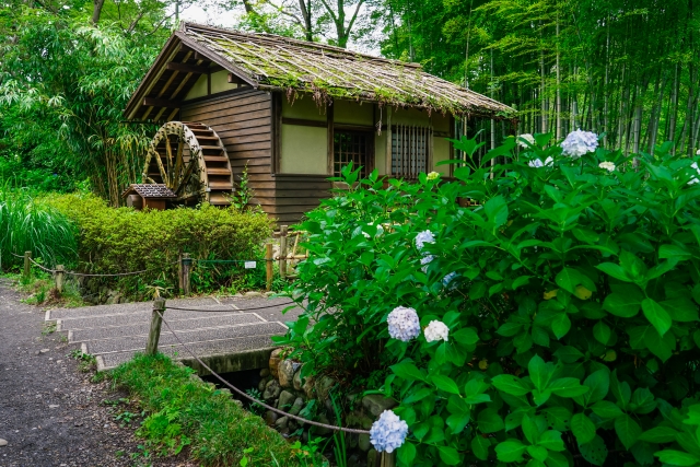 府中市郷土の森博物館の画像