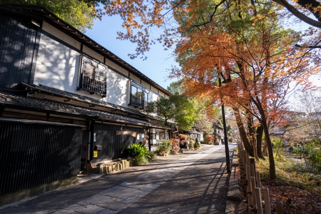 【深大寺周辺のおすすめ駐車場】混雑状況や観光スポット情報