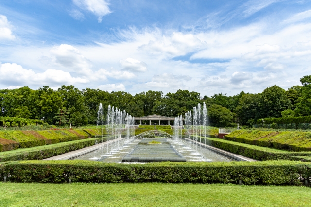 神代植物公園の画像