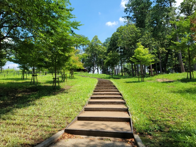 鶴間公園の画像