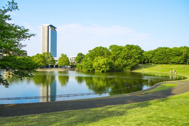 多摩中央公園の画像