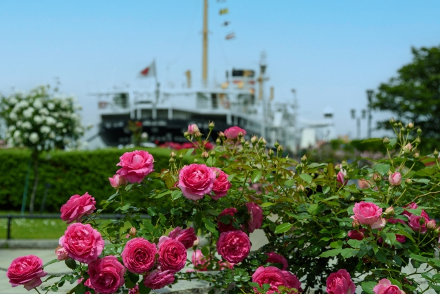 山下公園の特徴