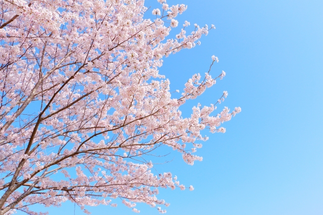 富岡総合公園の画像