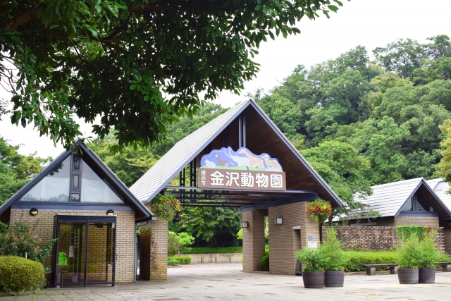 横浜市立金沢動物園の画像