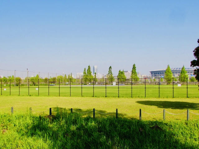 新横浜公園の画像