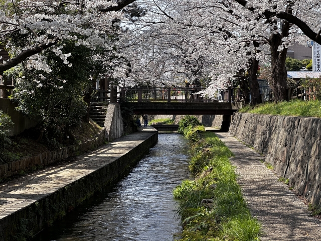 二ヶ領用水の画像